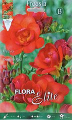 Фаршированные фрезии, красные, 10 шт. цена и информация | Луковицы цветов | pigu.lt