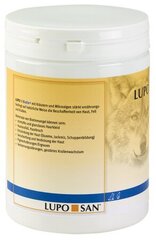 LUPO Biotin+ - таблетки биотина для собак и кошек, 450 таб. цена и информация | Витамины, добавки, средства от паразитов для собак | pigu.lt