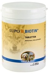 LUPO Biotin+ - таблетки биотина для собак и кошек, 450 таб. цена и информация | Витамины, добавки, средства от паразитов для собак | pigu.lt