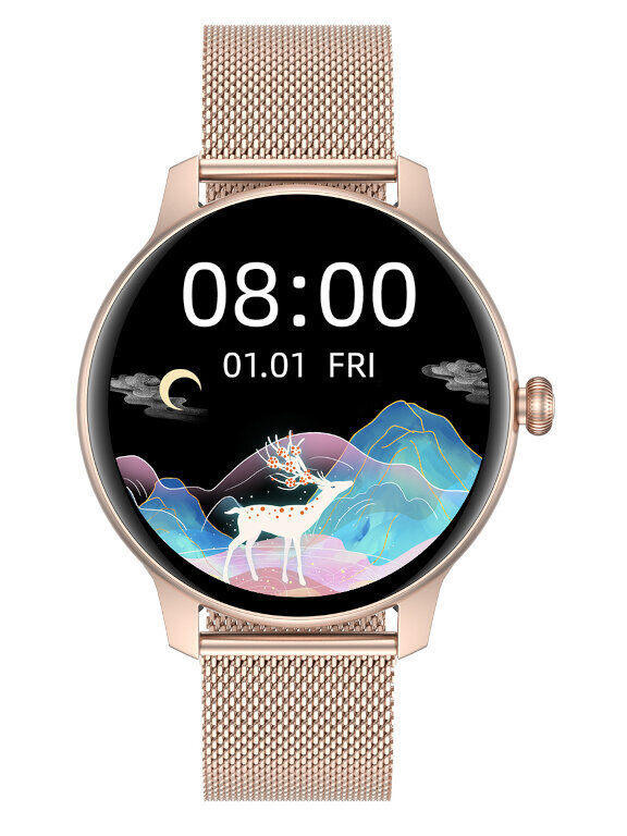 Išmanusis laikrodis Moteriškas išmanusis laikrodis Smartwatch G. Rossi  SW020-1 kaina | pigu.lt