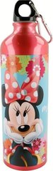 Disney gertuvė, 750ml kaina ir informacija | Disney Sportas, laisvalaikis, turizmas | pigu.lt