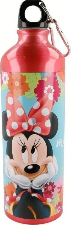 Disney gertuvė, 750ml kaina ir informacija | Gertuvės | pigu.lt