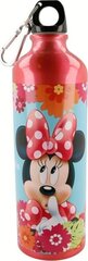 Disney gertuvė, 750ml kaina ir informacija | Gertuvės | pigu.lt