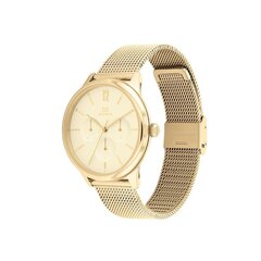 Moteriškas laikrodis Tommy Hilfiger TH1782458 kaina ir informacija | Moteriški laikrodžiai | pigu.lt