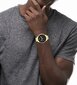 Vyriškas laikrodis Tommy Hilfiger TH1791974 kaina ir informacija | Vyriški laikrodžiai | pigu.lt
