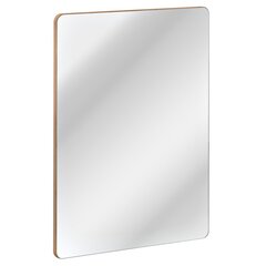 Vonios veidrodis Hakano Arcade, 80x60 cm, rudas kaina ir informacija | Vonios veidrodžiai | pigu.lt