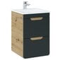 Pakabinama vonios spintelė po praustuvu Hakano Arcade, 40x41 cm, ruda/juoda kaina ir informacija | Vonios spintelės | pigu.lt