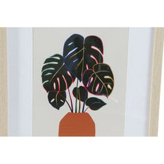 Картина DKD Home Decor, Растение (35 x 2.5 x 45 cm) (4 шт.) цена и информация | Репродукции, картины | pigu.lt