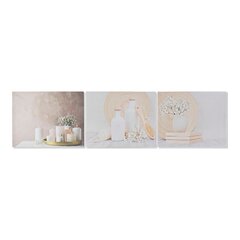 Картина DKD Home Decor, Кувшин (50 x 1.8 x 40 cm) (3 шт.) цена и информация | Репродукции, картины | pigu.lt