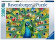 Dėlionė su povu Ravensburgeris Peacock Jigsaw 16567, 2000 d. kaina ir informacija | Dėlionės (puzzle) | pigu.lt