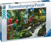 Dėlionė su papūgomis Ravensburger Puzzle, 2000 d. kaina ir informacija | Dėlionės (puzzle) | pigu.lt