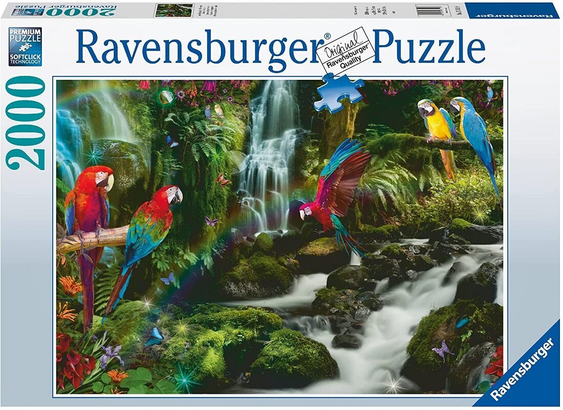 Dėlionė su papūgomis Ravensburger Puzzle, 2000 d. kaina ir informacija | Dėlionės (puzzle) | pigu.lt