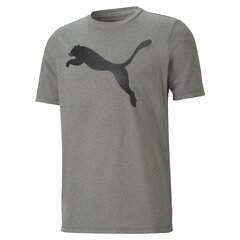 Мужская футболка Puma T-SHIRT ACTIVEBIG LOGO TEE, серая 586724 09 45611 цена и информация | Футболка мужская | pigu.lt