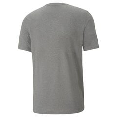 Мужская футболка Puma T-SHIRT ACTIVEBIG LOGO TEE, серая 586724 09 45611 цена и информация | Футболка мужская | pigu.lt