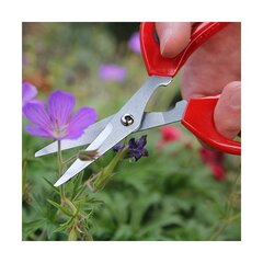 Ножницы садовода Softies Darlac цена и информация | Садовые инструменты | pigu.lt