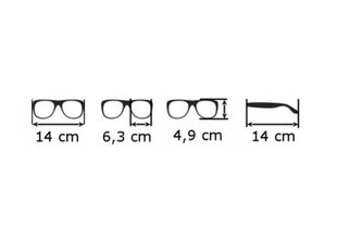 Солнцезащитные очки для мужчин Prius цена и информация | Солнцезащитные очки для мужчин | pigu.lt