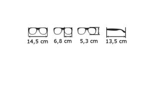 Солнцезащитные очки для мужчин Prius цена и информация | Легкие и мощные прозрачные защитные очки для велосипедов | pigu.lt