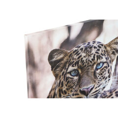 Paveikslas DKD Home Decor Leopardas, 50 x 1.8 x 70 cm, 3 vnt. kaina ir informacija | Reprodukcijos, paveikslai | pigu.lt