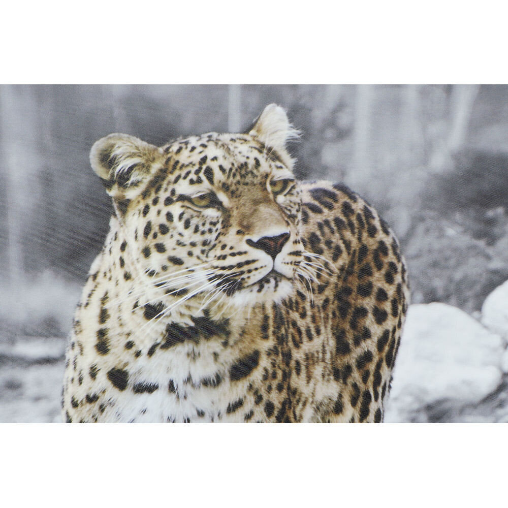 Paveikslas DKD Home Decor Leopardas (50 x 1.8 x 70 cm) (4 pcs) kaina ir informacija | Reprodukcijos, paveikslai | pigu.lt