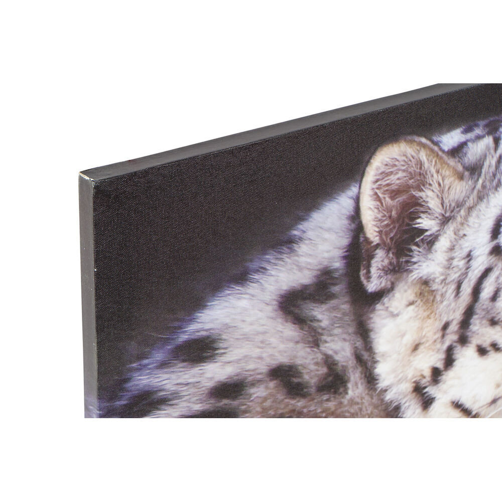 Paveikslas DKD Home Decor Tigras, 80 x 1.8 x 40 cm, 2 vnt. kaina ir informacija | Reprodukcijos, paveikslai | pigu.lt