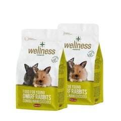 Maistas jauniems triušiams Wellness, 2x1 kg цена и информация | Корм для грызунов | pigu.lt