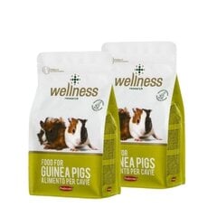 Maistas jūrų kiaulytėms Wellness, 2x1 kg kaina ir informacija | Maistas graužikams | pigu.lt