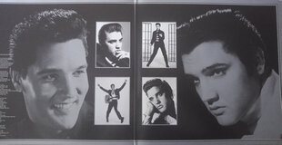 Elvis Presley - The Platinum Collection, 3LP, vinilo plokštė, 12" kaina ir informacija | Vinilinės plokštelės, CD, DVD | pigu.lt