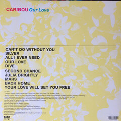 Виниловая пластинка Caribou - Our Love, LP, 12" vinyl record цена и информация | Виниловые пластинки, CD, DVD | pigu.lt