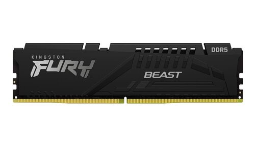 ПАМЯТЬ DIMM 8GB DDR5-4800/FURY KF548C38BB-8 KINGSTON цена и информация | Оперативная память (RAM) | pigu.lt