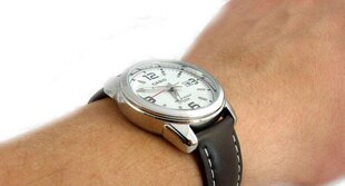 Мужские часы Casio MTP1314PL-7AVEF цена и информация | Мужские часы | pigu.lt