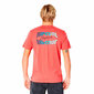 Marškinėliai vyrams Rip Curl Revival Inverted M S6441280, rožiniai kaina ir informacija | Sportinė apranga vyrams | pigu.lt