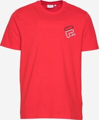 Футболка Fila Janto Graphic TEE M 683277006 цена и информация | Мужские футболки | pigu.lt