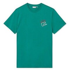 Футболка Fila Janto Graphic TEE M 683277006 цена и информация | Мужские футболки | pigu.lt