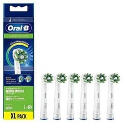 Oral-B Braun сменные головки для зубной щетки цена и информация | Насадки для электрических зубных щеток | pigu.lt