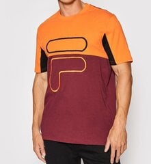 Marškinėliai vyrams Fila Paton 19080_86163, įvairių spalvų цена и информация | Футболка мужская | pigu.lt