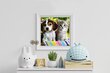 Deimantinė mozaika Šuo ir katė kaina ir informacija | Deimantinės mozaikos | pigu.lt