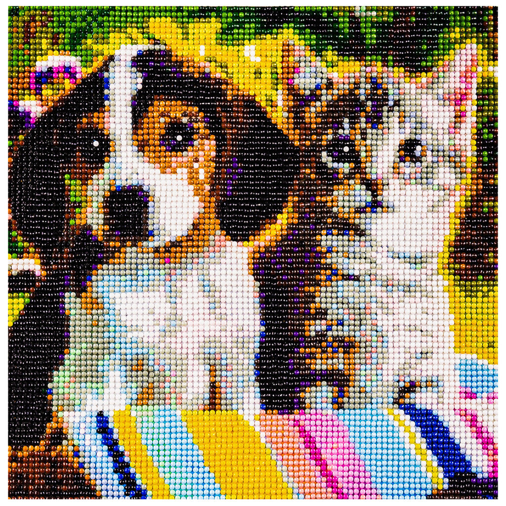 Deimantinė mozaika Šuo ir katė kaina ir informacija | Deimantinės mozaikos | pigu.lt