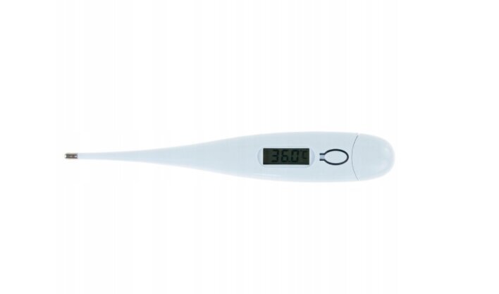 VrDigitalThermometer 1 kaina ir informacija | Termometrai | pigu.lt