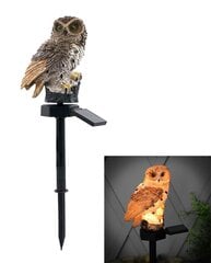 Солнечная светодиодная лампа Owl цена и информация | Уличные светильники | pigu.lt