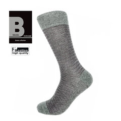 Мужские классические носки Bisoks 12292 bordo цена и информация | Мужские носки | pigu.lt