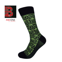 Мужские носки Bisoks 12308 black-neon цена и информация | Мужские носки | pigu.lt