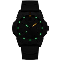 Мужские часы Luminox XS.3121.BO цена и информация | Мужские часы | pigu.lt