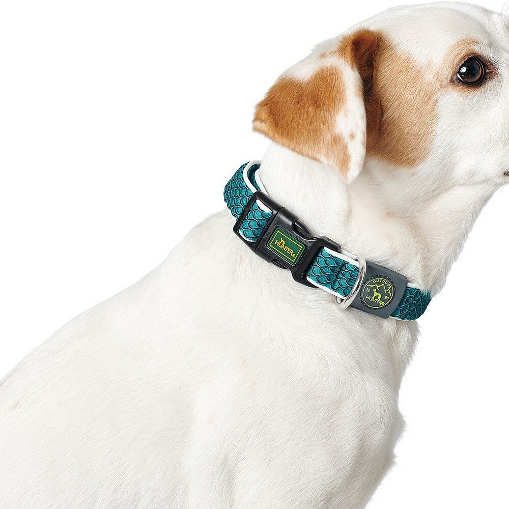 Hunter Basic šuns antkaklis, raudonas, 33-50 cm цена и информация | Antkakliai, petnešos šunims | pigu.lt