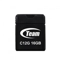 Накопитель TEAMGROUP TC12G16GB01 цена и информация | USB накопители | pigu.lt