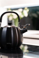 Чайник Vialli Design со свистком Bolla, 2,5 л, матового графитового цвета цена и информация | Чайники, кофейники | pigu.lt