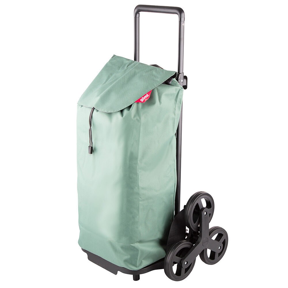 Pirkinių vežimėlis, žalias kaina ir informacija | Pirkinių krepšiai | pigu.lt