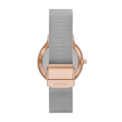 Laikrodis moterims Skagen SKW3017 цена и информация | Женские часы | pigu.lt