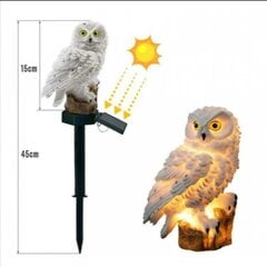 Садовый солнечный светильник - сова цена и информация | Уличные светильники | pigu.lt