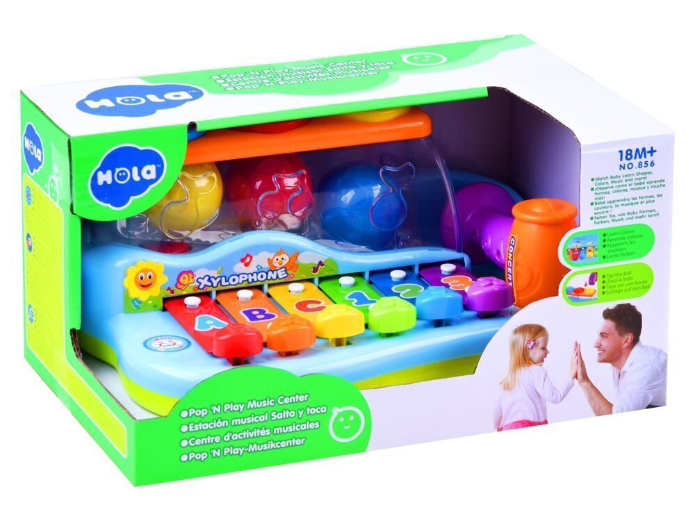Interaktyvus muzikinis žaislas su kamuoliukais Hola цена и информация | Lavinamieji žaislai | pigu.lt