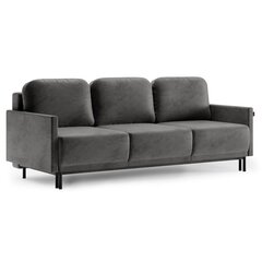 Sofa Homede Lapi, tamsiai pilka kaina ir informacija | Sofos | pigu.lt